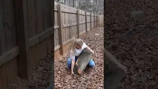Who’s gonna carry the logs?