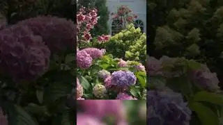 #endlesssummer