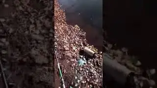 Осенний карась в Шкаповском пруду