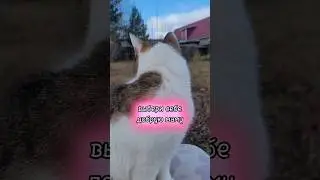 31 октября 2023 г.