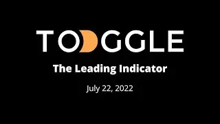 What is the TOGGLE Leading Indicator? Part 2