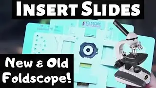 How to Insert a Microscope Slide into Foldscope