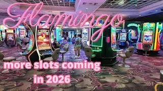🦩 Flamingo hotel casino Las Vegas 