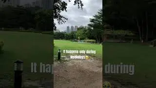 I dunno if you would love it🥹#trending #nature #love #sky #travel #shortvideo #trendingvideo#shorts