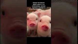 Камалока в 