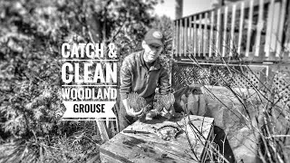 Catch & Clean Woodland Grouse