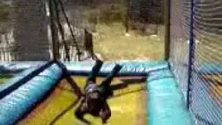 Trampoline jumping