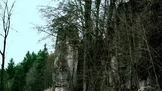 The Fall