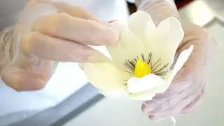 Новая коллекция свадебных тортов