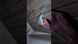 Grandma Had A BIRTHDAY PARTY.. #granny #vrhorror #funny