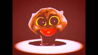 Кот Скэтмэн под всеми фильтрами!