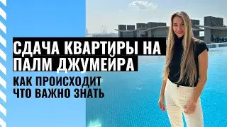 Как сдаются квартиры в Дубай
