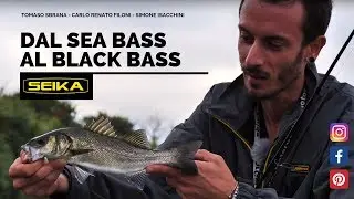 Dal SEA BASS al BLACK BASS!!! SEIKA PREDATOR FISHING