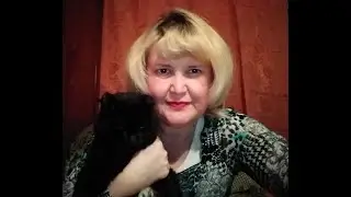 ПЕРЕДЕРЖКА КОШЕК  / КАК Я НАЧАЛА ЗАНИМАТЬСЯ ПЕРЕДЕРЖКОЙ КОШЕК /  ИСТОРИЯ ЗЛАТИКА