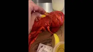 Cardi B Tapping ASMR #cardib