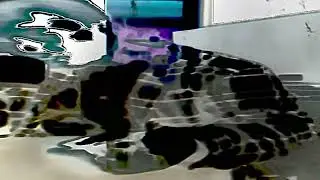 caqesss - bfhfa rmx (MV)