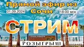 Сочи в Прямом эфире! 1 сентября- где туристы?