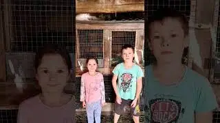 открываем двери без ключа ча ча ча ча ча ча #рекомендации #приколы #юмор #shorts