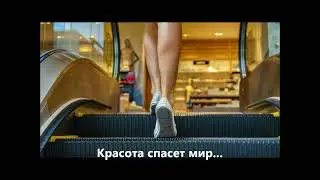 Красота спасет мир.  Валерий Гурков.  Проза