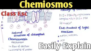 Chemiosmosis | ATP Production | Class 11