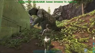 dontPunchBears