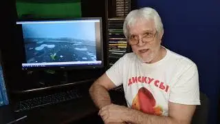 Стурисома Панамская. (Стартовый корм).