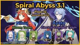C0 Nilou, Kokomi (Bloom) x C0 Ayato, Kuki Shinobu (Electro-Charged) | Spiral Abyss 3.1