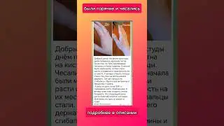 были и горячие и чесались #сибирскоездоровье #пик #эльбэшен #чистаякожа
