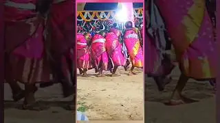 Karam Parab Karboi Jara Jivan/Karam Dance/New Karam Song 2024/Karam Geet/Karma Dance 
