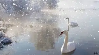 Зимняя сказка