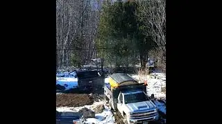 Laura Lynch versus Northern gardens