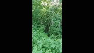 Говорите эти слова каждое утро на удачу