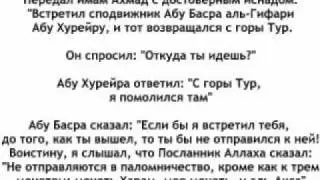 Ложь суфиста Али аль Джифри на сподвижников Пророка!