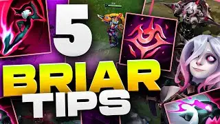 5 TIPS You NEED To Know For BRIAR! L0ganJG