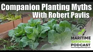 MGP E83: Companion Planting Myths with Robert Pavlis