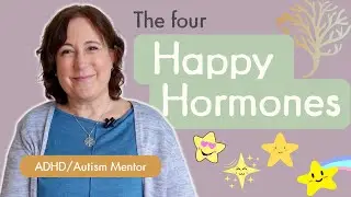 The 4 Happy Hormones and How To Boost Them - Dopamine, Serotonin, Oxytocin, Endorphins