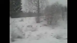 Вид с окна поезда
