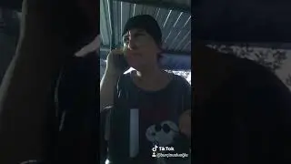Yol arkadaşım 2 