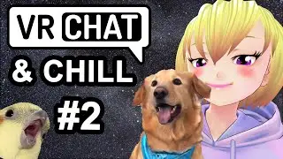 VRChat & Chill #2