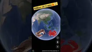 Millions Of Crabs On Google Earth 🦀😱 