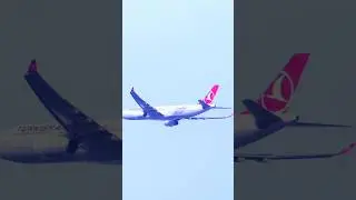 Turkish Airlines A330#airport #airplanes