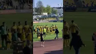 Веселина