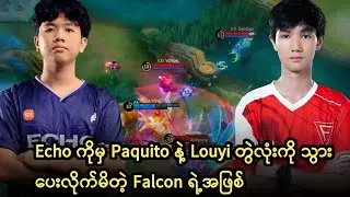 Falcon ကဘယ်လို card တွေကိုင်ထားလို့ Echo ကို Paquito သွားပေးလိုက်ရတာလဲ ❓❓🤔