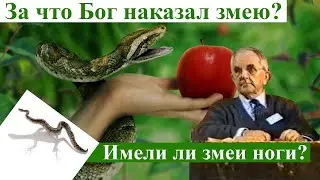 Билли Страйкен. За что Бог наказал змею? Имели ли змеи ноги?