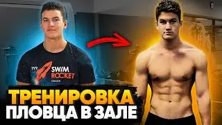 Как пловцу стать сильнее? Тренировка в зале и лучшие упражнения