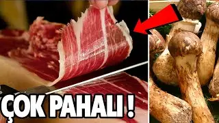 Eat on a Car, Top 10 Luxury Foods, Watch Documentary