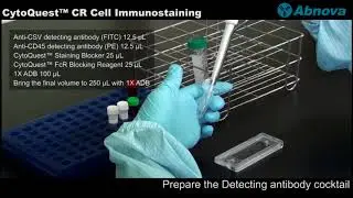 CytoQuest™ CR Cell Immunostaining