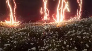 When you've mastered Isshin but dont want to kill Emma xD (SEKIRO Elden Arts 2.1)