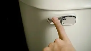 The Basics: What Causes Diarrhea?