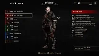 The Witcher 3 - Best build | 2022